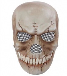 Fallout mask only